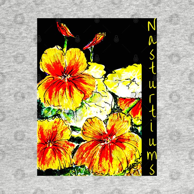 Nasturtiums on Black no Happy Birthday by Heatherian